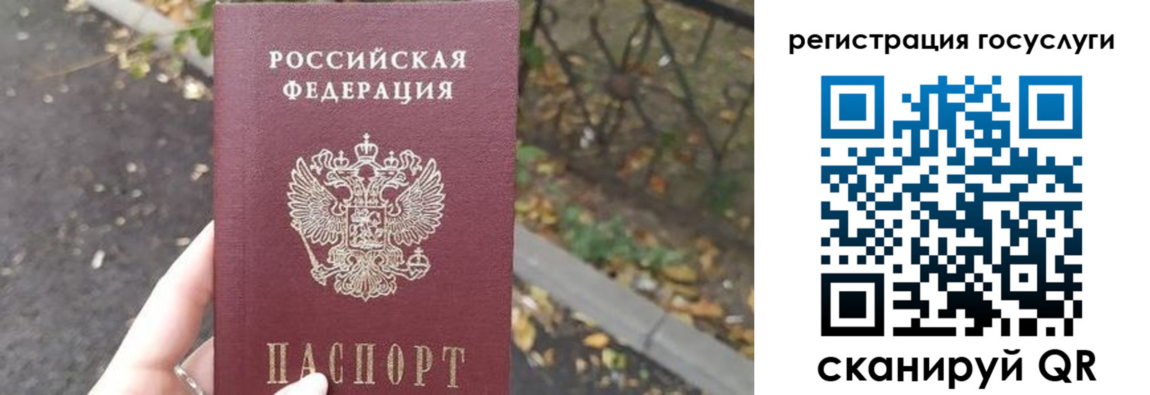купить прописку в Каменке